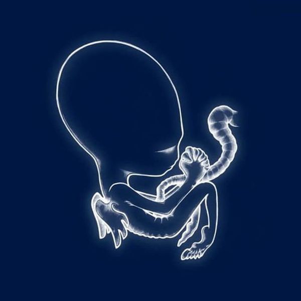 Album artwork of 'Ágætis byrjun' by Sigur Rós