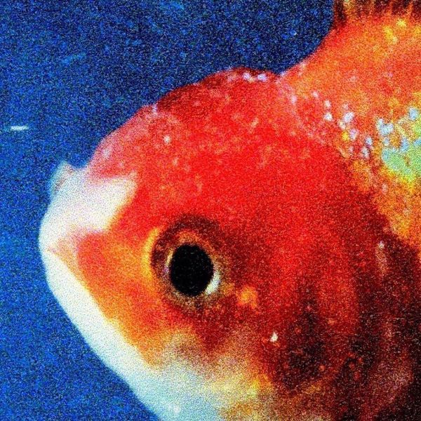 Big Fish Theory // Vince Staples