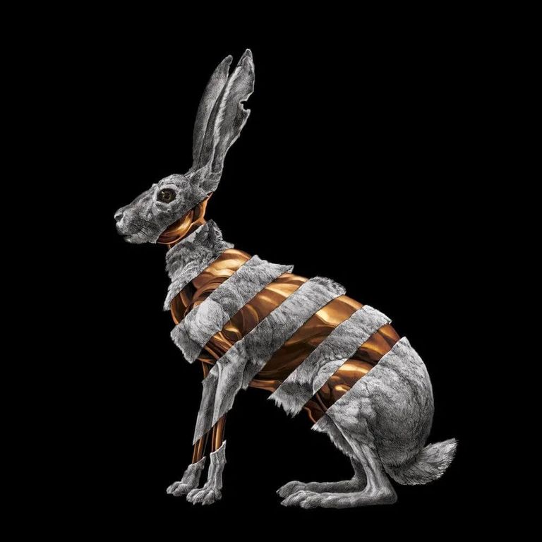 Album artwork of 'Jackrabbit' by San Fermin