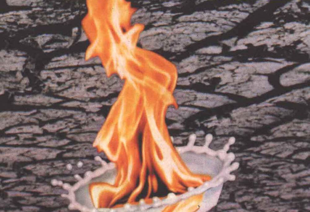 Review: The Real Thing // Faith No More // Audioxide